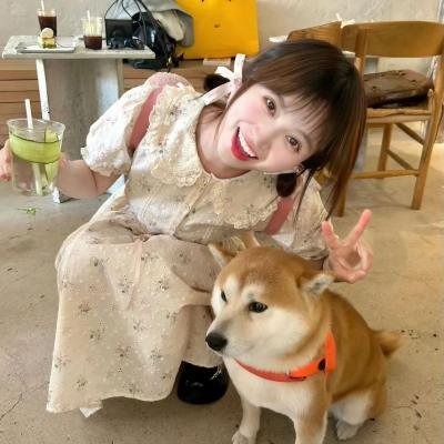 碰撞试验